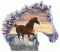 /album/fenykepgaleria/a722913-gif/